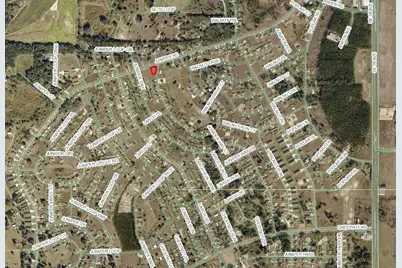 Juniper Loop Cir, Ocala, FL 34472 - Photo 3