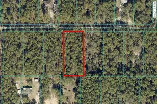 Tbd Lot 13 SW 39th St, Dunnellon, FL 34432 - Photo 1