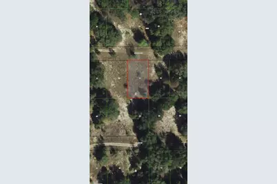 2407 Jackson Street, Inverness, FL 34453 - Photo 3