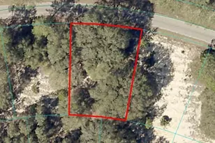 Fisher Way Course, Ocklawaha, FL 32179 - Photo 1