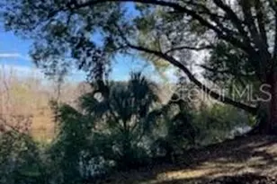 18607 SE 50th St, Ocklawaha, FL 32179 - Photo 11