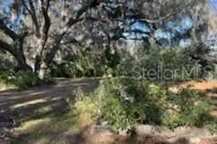 18607 SE 50th St, Ocklawaha, FL 32179 - Photo 9
