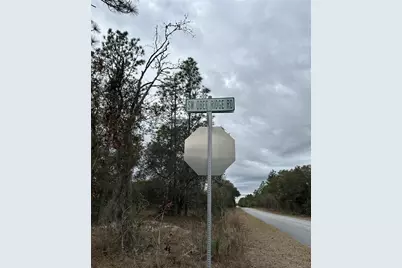 Sw Obee Ridge Rd, Dunnellon, FL 34431 - Photo 9