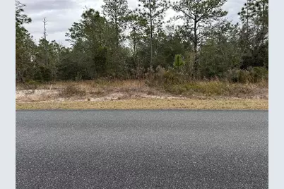 Sw Obee Ridge Rd, Dunnellon, FL 34431 - Photo 3