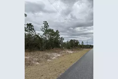 Sw Obee Ridge Rd, Dunnellon, FL 34431 - Photo 5
