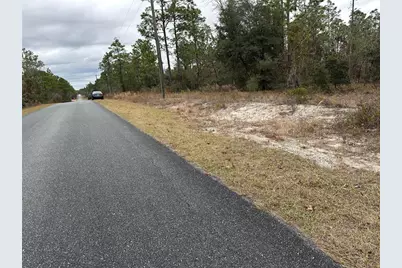 Sw Obee Ridge Rd, Dunnellon, FL 34431 - Photo 7