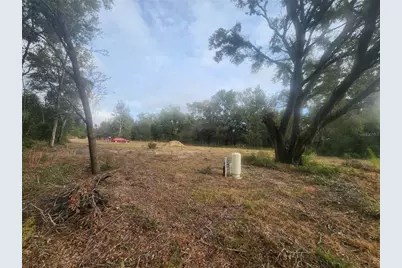 715 Long Avenue, Inverness, FL 34453 - Photo 11