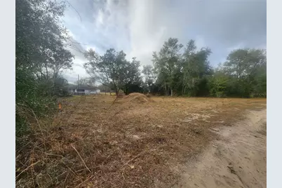 715 Long Avenue, Inverness, FL 34453 - Photo 15