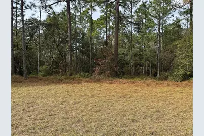 Lot 9 SW 61st Avenue Road, Ocala, FL 34473 - Photo 9