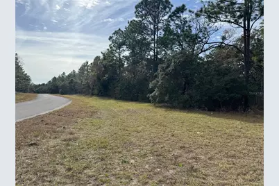 Lot 9 SW 61st Avenue Road, Ocala, FL 34473 - Photo 7