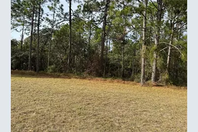 Lot 9 SW 61st Avenue Road, Ocala, FL 34473 - Photo 5