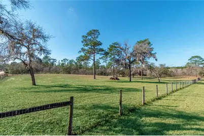 6850 SE 143rd Court, Morriston, FL 32668 - Photo 43