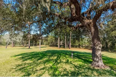 6850 SE 143rd Court, Morriston, FL 32668 - Photo 45