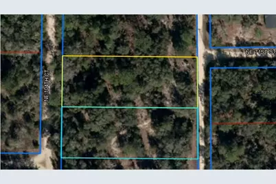 Tba NE 104 Court, Bronson, FL 32621 - Photo 1