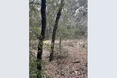 Lot 36 SW Monines Court, Dunnellon, FL 34431 - Photo 5
