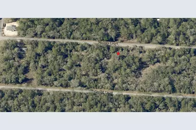 Lot 36 SW Monines Court, Dunnellon, FL 34431 - Photo 9