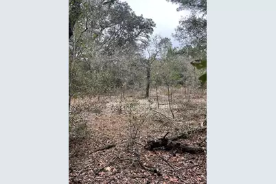 Lot 36 SW Monines Court, Dunnellon, FL 34431 - Photo 3