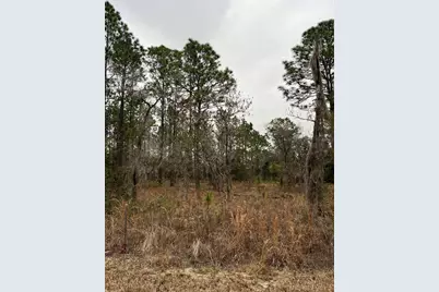 Lot 57 NW Skylark Street, Dunnellon, FL 34431 - Photo 11