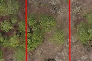 Lot 57 NW Skylark St, Dunnellon, FL 34431 - Photo 1