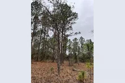 Lot 57 NW Skylark Street, Dunnellon, FL 34431 - Photo 5