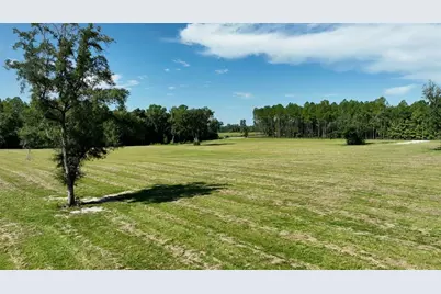 Nw 116th Court, Reddick, FL 32686 - Photo 9