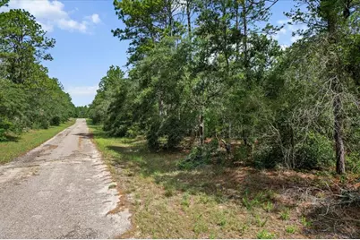 3621 W Norwick Place, Citrus Springs, FL 34433 - Photo 5