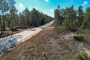 Tbd NE 58th St, Bronson, FL 32621 - Photo 1