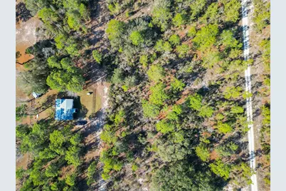 Tbd NE 58th St, Bronson, FL 32621 - Photo 13