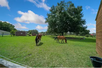 14130 SW 8th Avenue, Ocala, FL 34473 - Photo 43