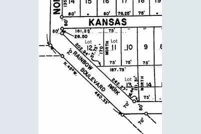 Lots 11, 12 & 13 SW 149th Ct. Road, Ocala, FL 34481 - Photo 3
