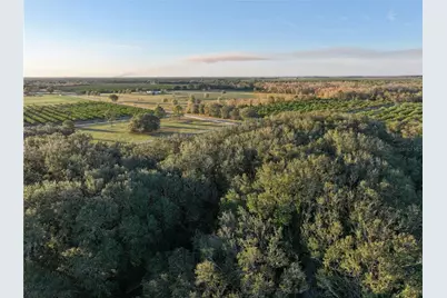 6255 Mercantile Lane, Fort Meade, FL 33841 - Photo 19