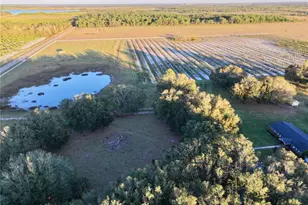 6255 Mercantile Ln, Fort Meade, FL 33841 - Photo 27