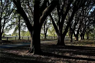 6255 Mercantile Ln, Fort Meade, FL 33841 - Photo 21