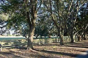 6255 Mercantile Ln, Fort Meade, FL 33841 - Photo 35