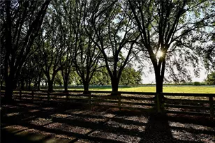 6255 Mercantile Ln, Fort Meade, FL 33841 - Photo 37