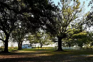 6255 Mercantile Ln, Fort Meade, FL 33841 - Photo 9