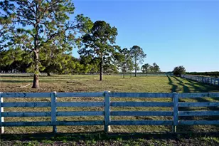 6255 Mercantile Ln, Fort Meade, FL 33841 - Photo 17