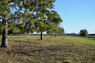 6255 Mercantile Ln, Fort Meade, FL 33841 - Photo 23