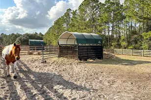 7045 Greengrove Blvd, Clermont, FL 34714 - Photo 27