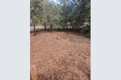 19100 SE 95th Street, Ocklawaha, FL 32179 - Photo 5