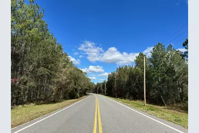 Tbd NE Ne Hwy 315, Fort Mc Coy, FL 32134 - Photo 3