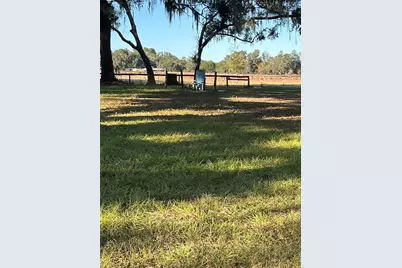 1851 SE 185 Avenue, Williston, FL 32696 - Photo 7