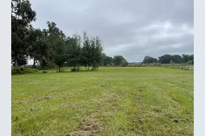 1851 SE 185 Avenue, Williston, FL 32696 - Photo 5