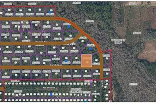 Tbd NE 3rd Ave, Palatka, FL 32177 - Photo 1