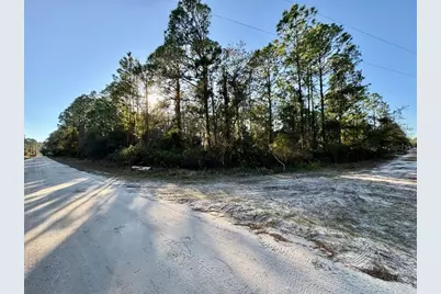 105 Longtree Street, Georgetown, FL 32139 - Photo 9