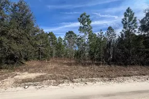 Tbd SE 185 Terrace, Morriston, FL 32668 - Photo 1