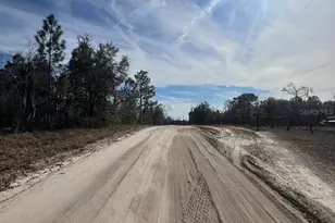 Tbd SE 185 Terrace, Morriston, FL 32668 - Photo 1