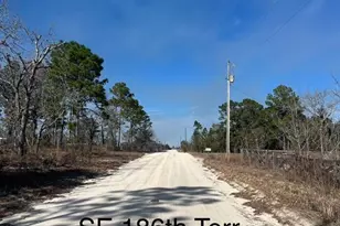 Tbd SE 186 Terrace, Morriston, FL 32668 - Photo 1