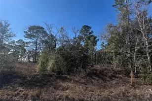 Tbd SE 186 Terrace, Morriston, FL 32668 - Photo 1