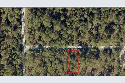 Tbd NW Water Oak Avenue, Dunnellon, FL 34431 - Photo 1